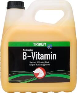 WD B-VITAMIN 3L