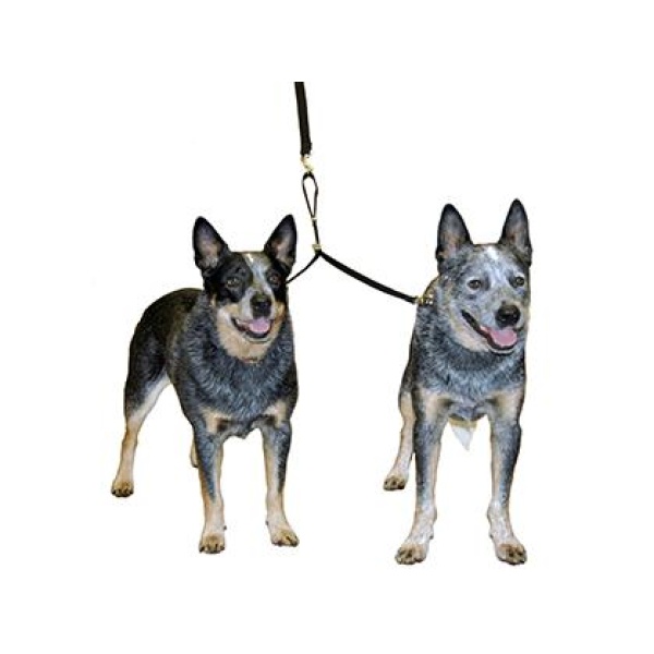 Double Dog Coupler Small Tvillingkobbel - Bilde 2