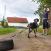 Non-Stop Nansen Harness pinnesele - Bilde 4