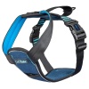 Clix carsafe bilsele NY large - Bilde 3