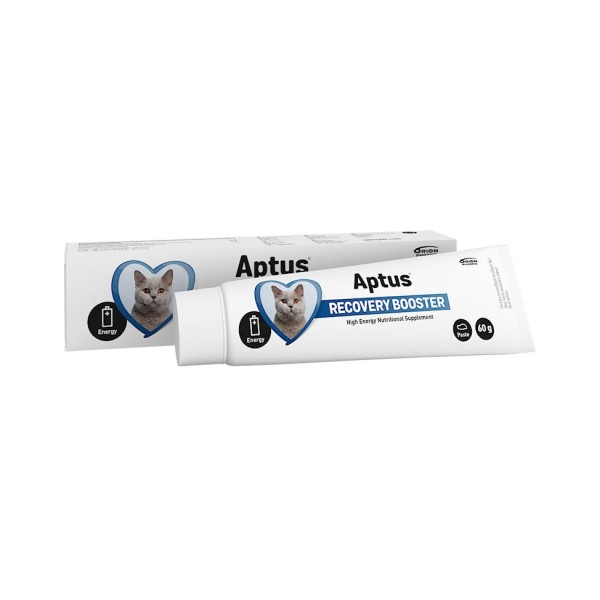 APTUS Reconvalescent Cat 60g