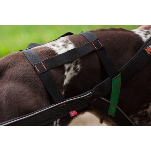 Non-Stop Nansen Harness pinnesele - Bilde 3