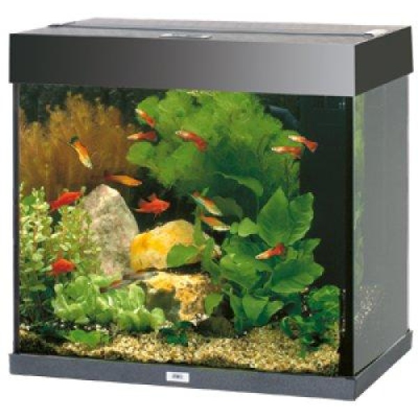 Juwel Akvarium Led Lido 120 Svart 61X41X58Cm 120L