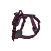 Non-Stop Ramble Harness
