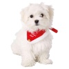 Julebandana - Xs–S: 20–30 Cm/15 Mm - Bilde 3