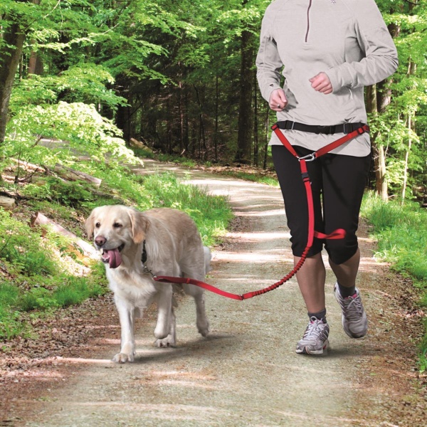 JOGGEBELTE MED ELASTISK KOBBEL - Bilde 2