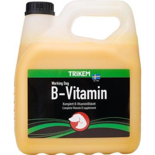 WD B-VITAMIN 3L