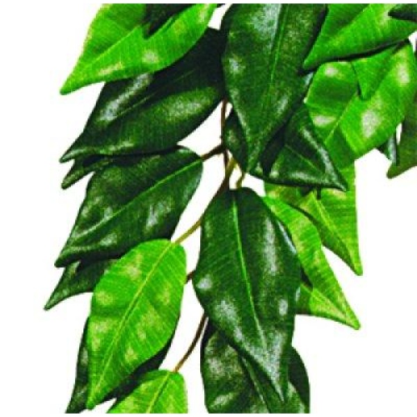 Ficus M Plast Exoterra