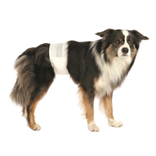 Bleier hannhund L-XL 60-80 cm Trixie - Bilde 2