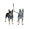 Double Dog Coupler large Tvillingkobbel - Bilde 3