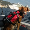 Flytevest Crewsaver - Bilde 3