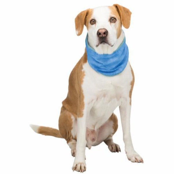 Kjølebandana XL