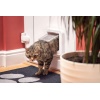 Sureflap  Microchip Cat Flap Connect - Bilde 4