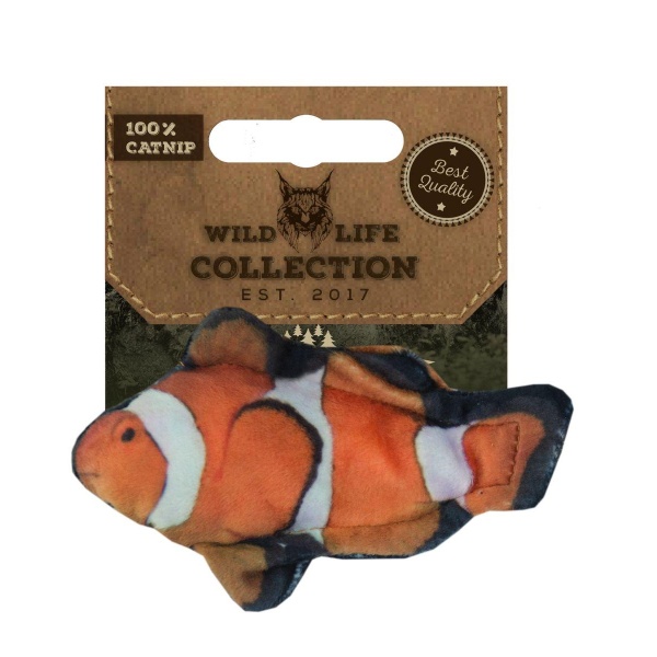 Katteleke  Wild life cat clownfish