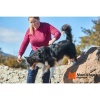 Non-Stop Ramble Harness - Bilde 8