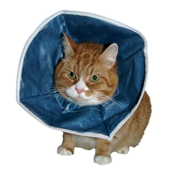 Buster Soft Collar krage til katt 1 stk