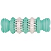 Hundeleke Dentafun bein med mint 11.5 cm
