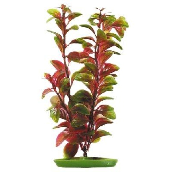 Plastplante Röd Ludwigia 20Cm