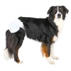 Bleie til tispe M Trixie 32-48 cm - Bilde 2