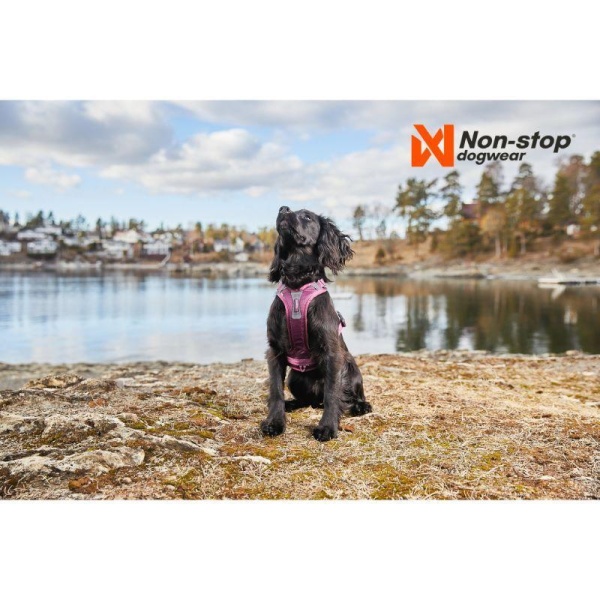 Non-Stop Ramble Harness - Bilde 7