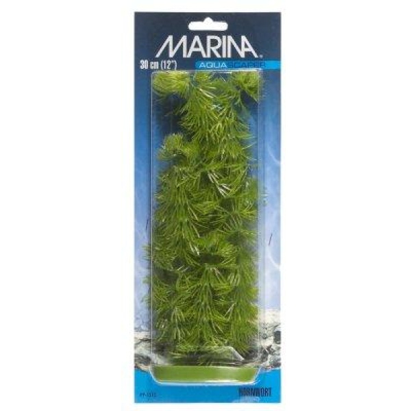 Plastplante Hornwort 38Cm