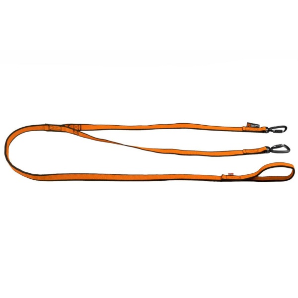 Non-Stop Bungee Leash Double