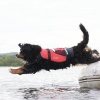 Flytevest Crewsaver - Bilde 2
