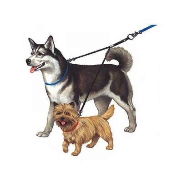 Double Dog Coupler large Tvillingkobbel - Bilde 2