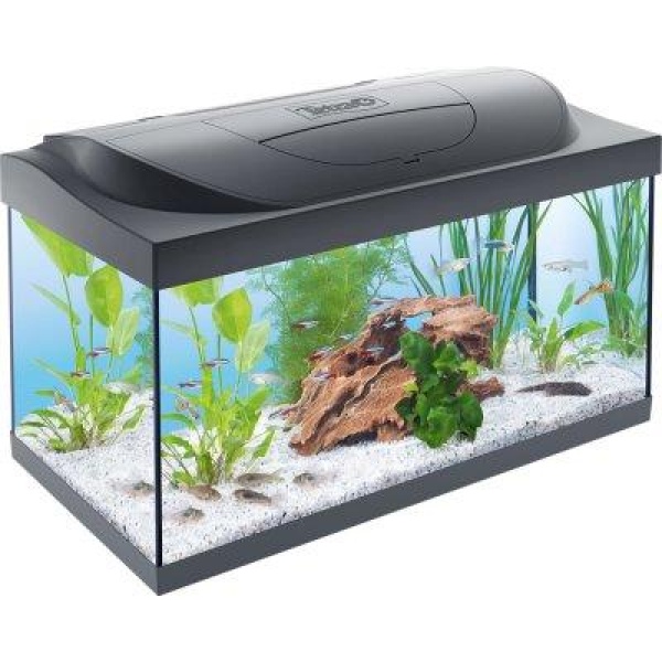 Tetra Starter Line Tank Led 54L, Sort