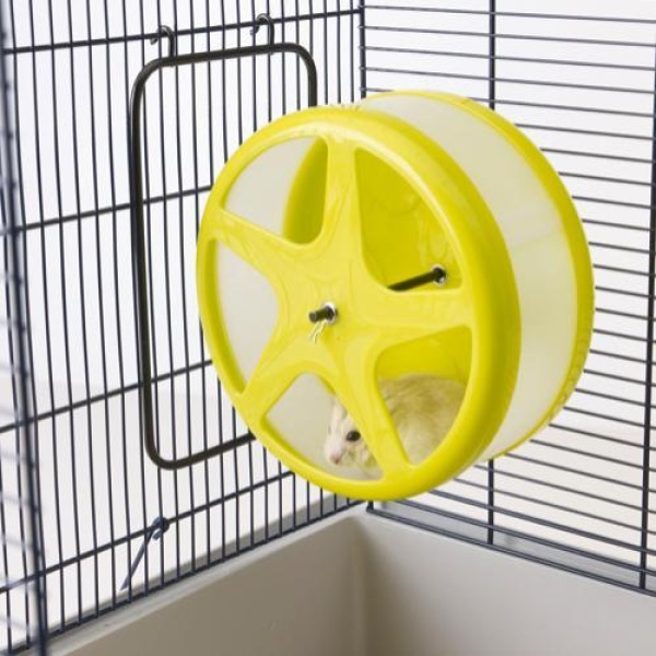 Orbital Medium Hamsterhjul - Assorted Colours - Bilde 2