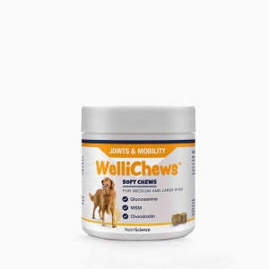 Wellichews Joint Medium/Large leddhelse 60 St
