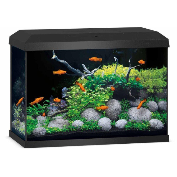 Juwel Akvarium Primo 70 Vit 2.0 61X31X44Cm Ca70L