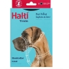 Halti train snutesele - Bilde 2