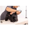 Klippmaskin Rex Wahl Med Tbh - Bilde 2