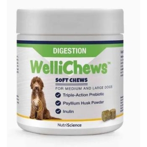 Wellichews Digestion Medium/Large Dk/No60 St