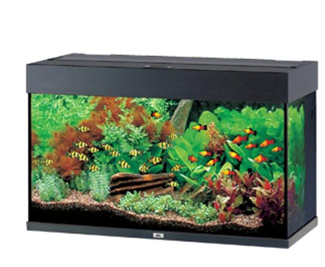 Akvarium Juwel 81x36x50 cm 125 liter