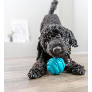 Hundeleke 33463 Super Strong Ball Ø:7,5Cm Petrol