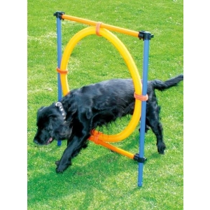 Agility Hinder Med Ring Ø55Cm
